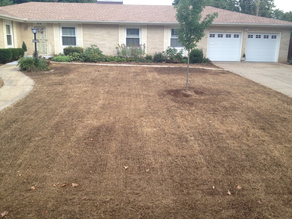 Killed Out Brown Lawn