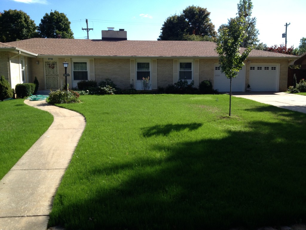 Freshly seeded lawn