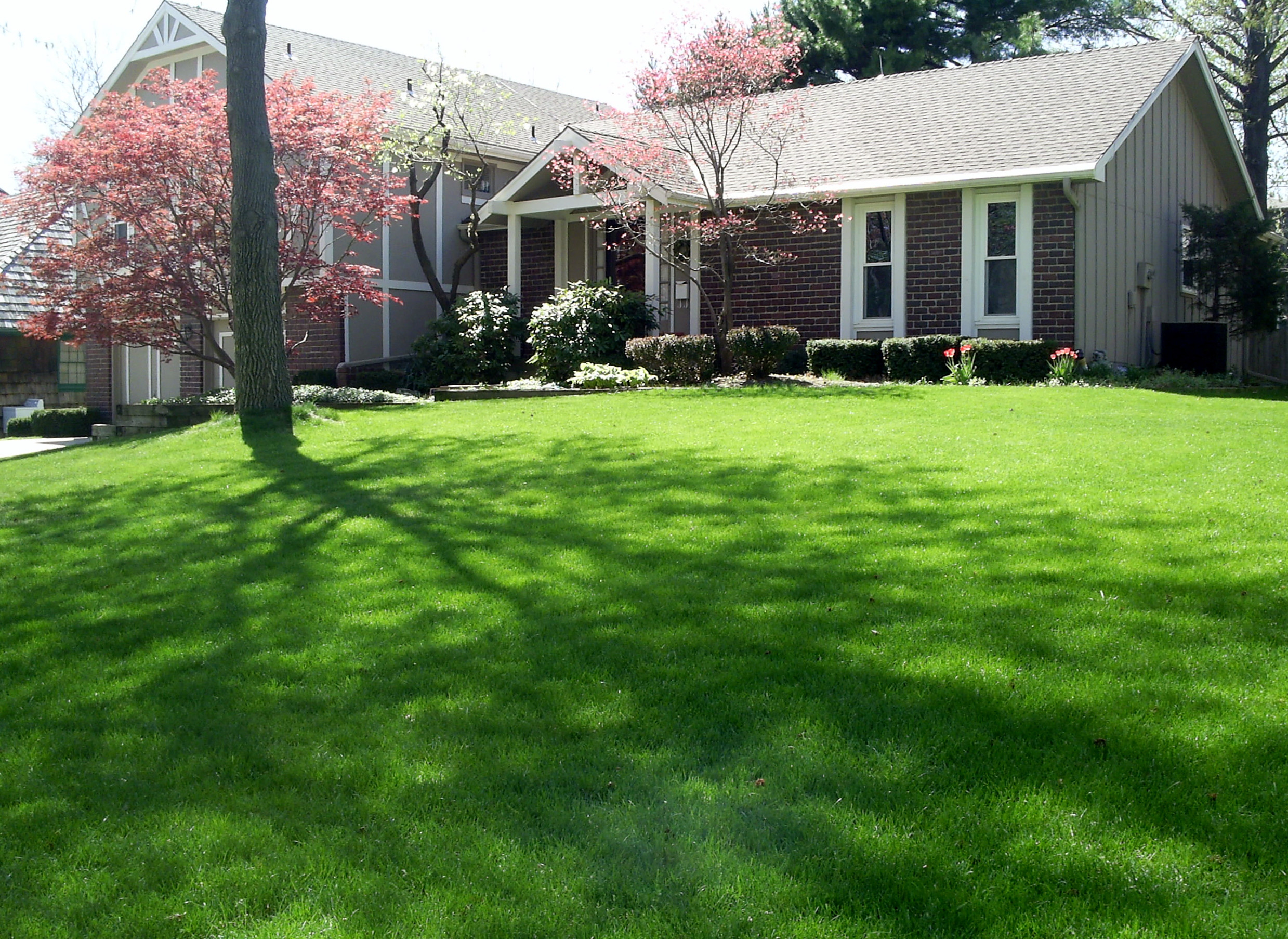 Spring Lawn