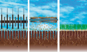 What a Verticutter Does for Seeding