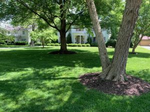 IMG_6220